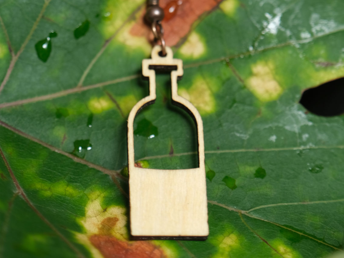 bouteille-2-vin-feuille-vigne