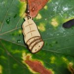 saucisson-vin-feuille-vigne